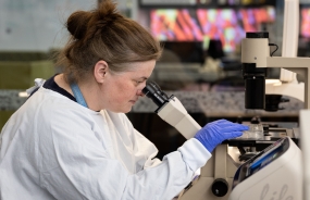 A scientist examines samples using a microscope in a laboratory setting, wearing a lab coat and gloves.