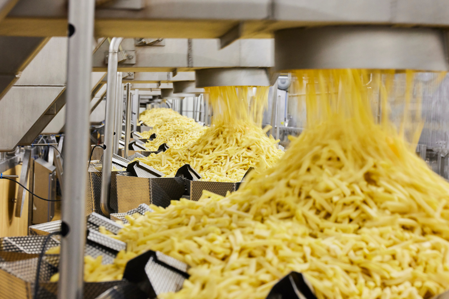 French fries in a manufacturing plant