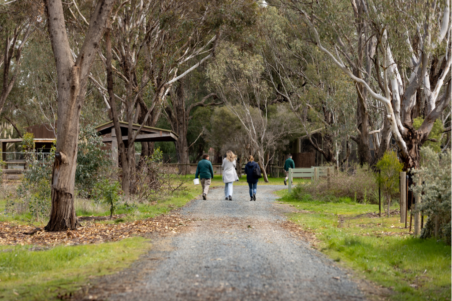 3 people walking down nature path at Kyabram Fauna Park