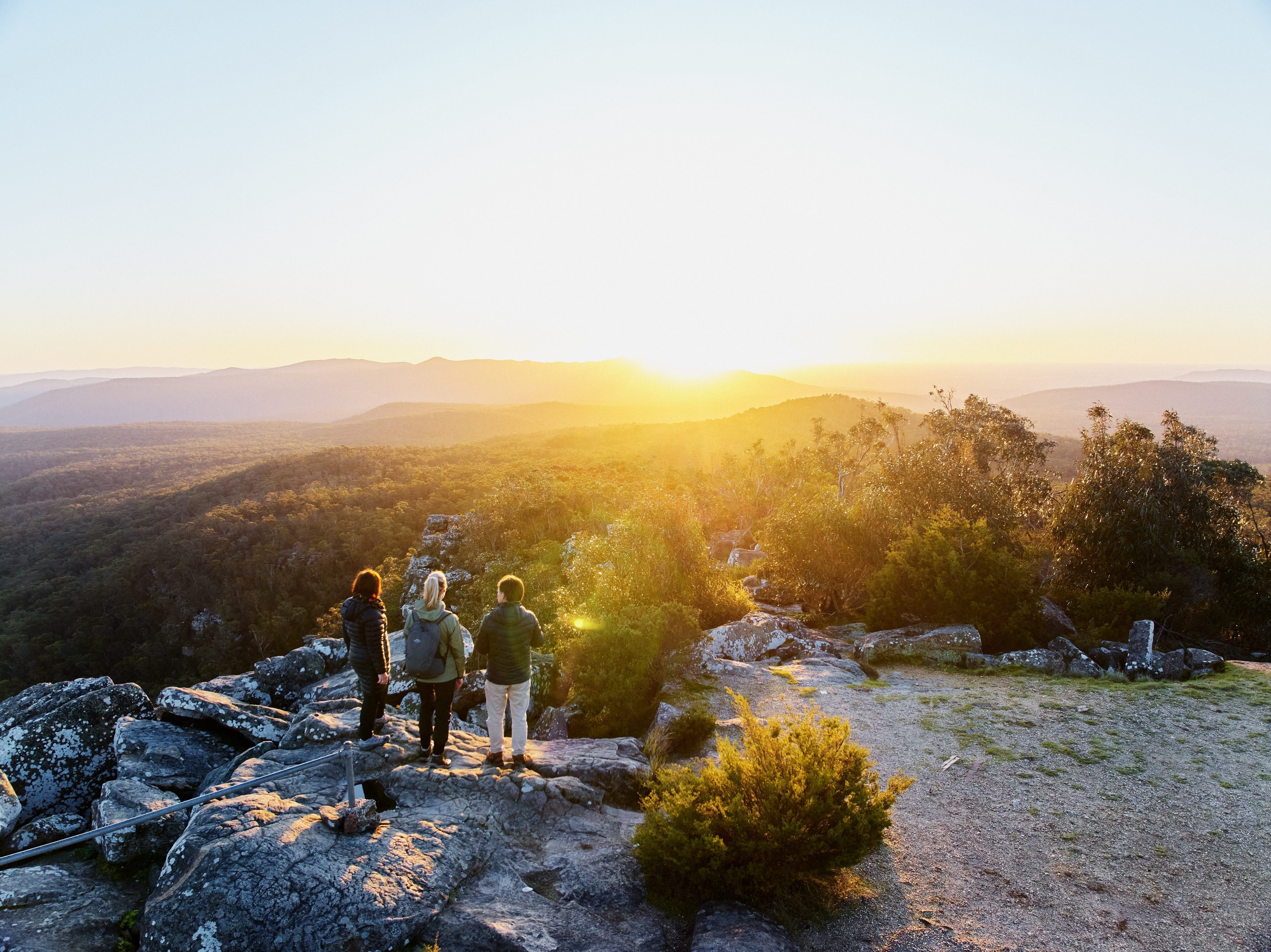 Three people on top of a trail looking over Australian bush 