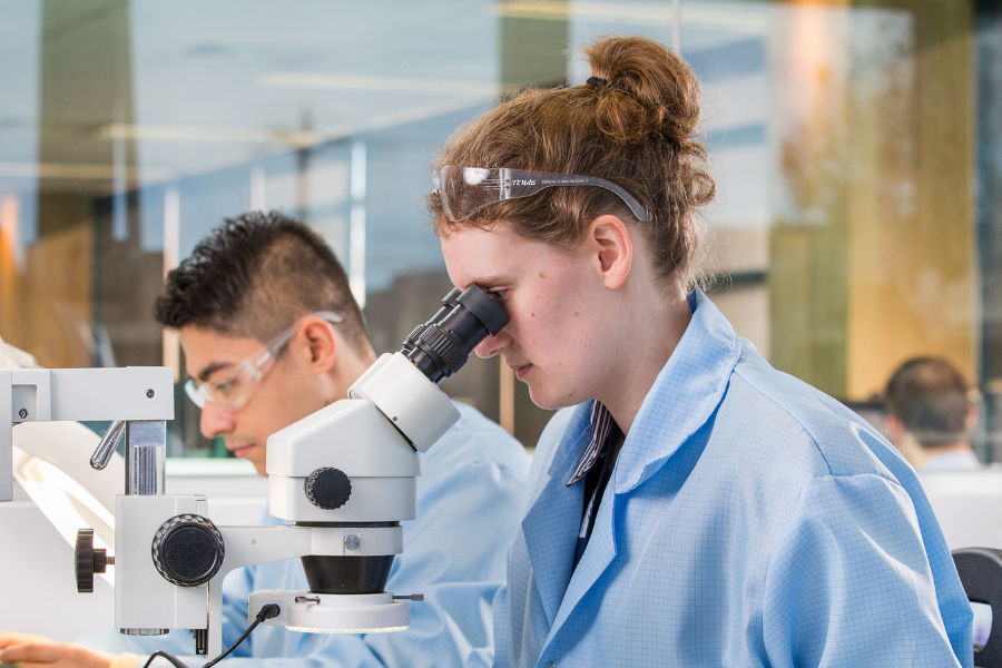 Two lab technicians in blue lab coats using microscopes in a modern laboratory setting.