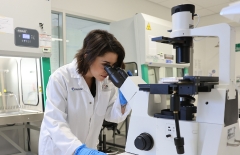 Person wearing white lab coat and blue gloves looking into a microscope in a lab environment