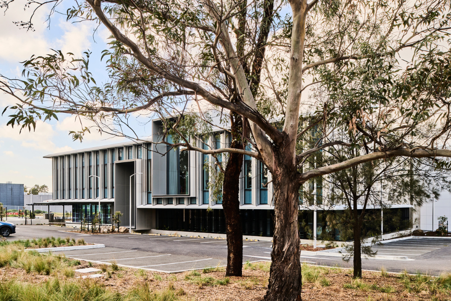 New modern building behind some trees
