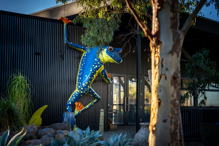 A large, colourful sculpture of a frog, mounted on a metal pole, is displayed outside The Hidden Frog Restaurant. A modern building surrounded by native vegetation.