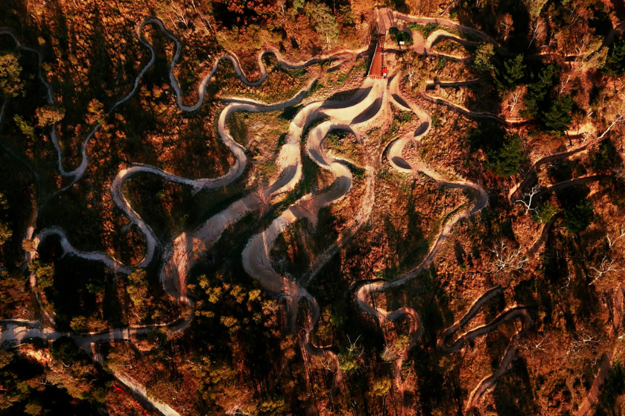 Drone image of the Omeo Mountain Bike Park showing weaving dirt tracks through dense bushland. 