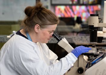 A scientist examines samples using a microscope in a laboratory setting, wearing a lab coat and gloves.