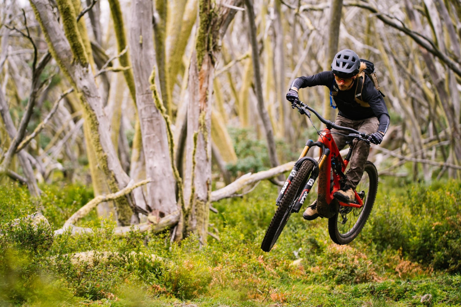 Mountain bike rider doing a trick among the bush