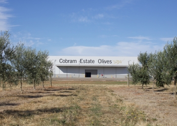 Exterior of the Cobram Estate factory lined with trees with a sign reading Cobram Estate