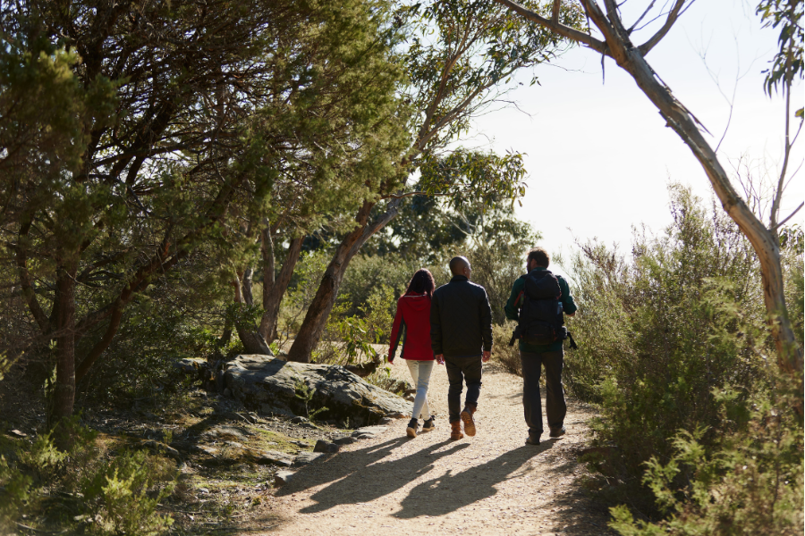 Three people hiking on the Grampians Peaks trail, surrounded by bushland and sunlight.