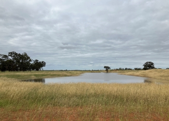 A view of the Wycheproof Wetlands development site