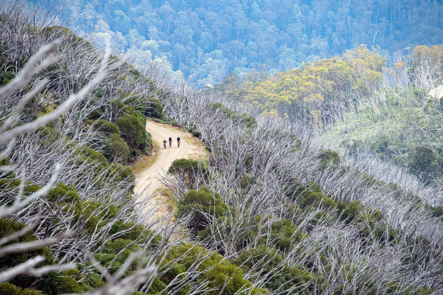 Cycling in the high country in Falls Creek