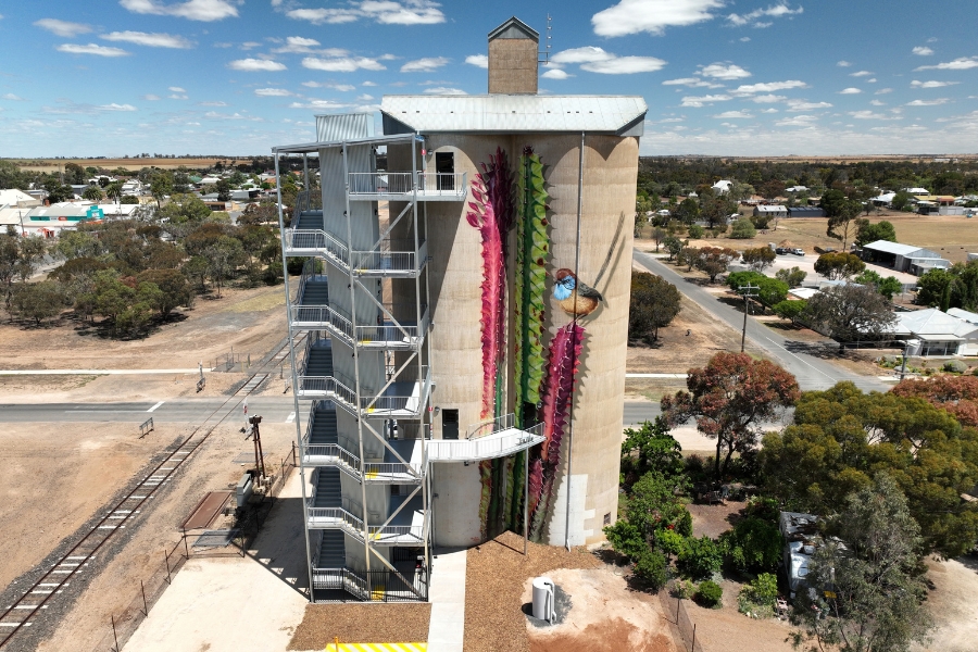 A tall grain silo with vibrant murals of Australian native flowers and birds. A metal staircase is attached to the silo, providing access to different levels. The area has a mix of urban and natural landscapes, with roads and trees visible under a partly cloudy sky.