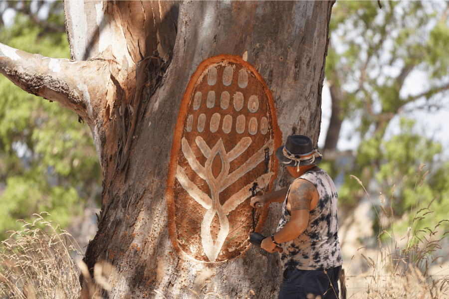 Mick Harding carving an intricate design into a large tree trunk, surrounded by natural scenery.