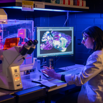 A scientist examining a detailed cell structure on a computer screen, while working with a microscope in a well-equipped laboratory.