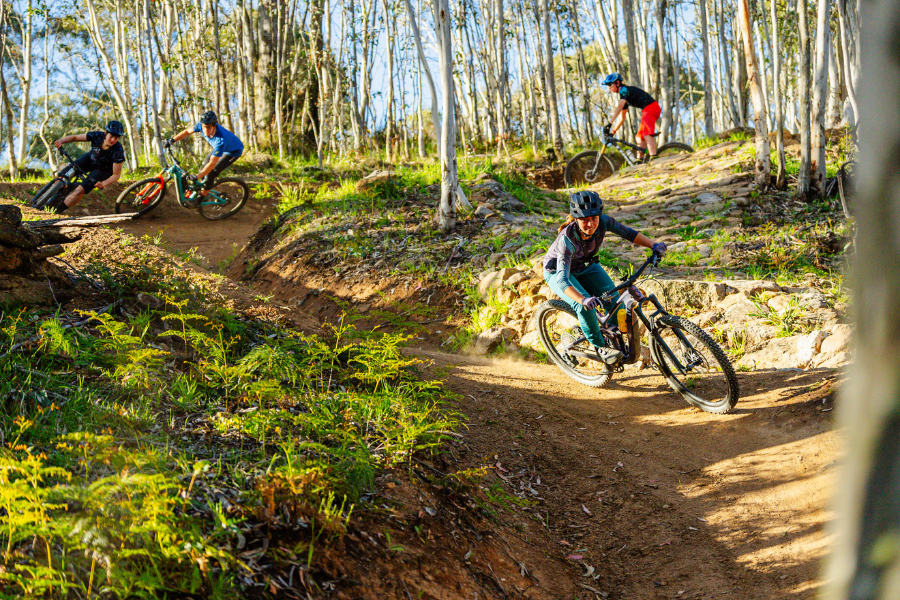 Four cyclists riding mountain bikes on the Omeo Mountain Bike Park dirt trail through a sunlit forest.