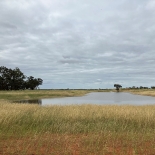 A view of the Wycheproof Wetlands development site