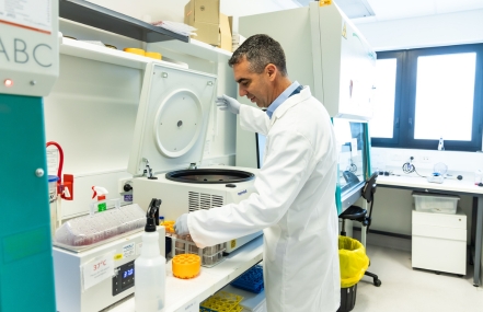 A scientist wearing a lab coat is working with equipment and samples in a laboratory setting.