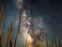 Photo of stars at night in Gippsland