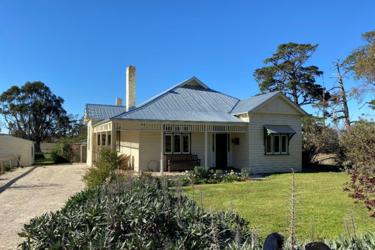 Stockmans Cottage behind a large flowering plant